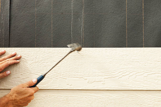 Best Engineered Wood Siding  in Goose Creek, SC